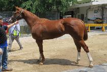 õ�� (CHEON YEO) ����