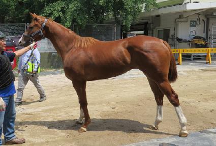 õ�� ����