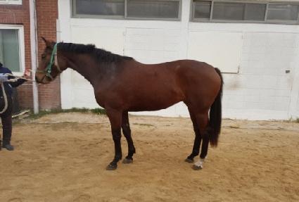 ��ƾ����� ����