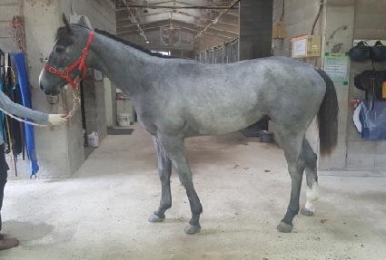 ���̾������ ����