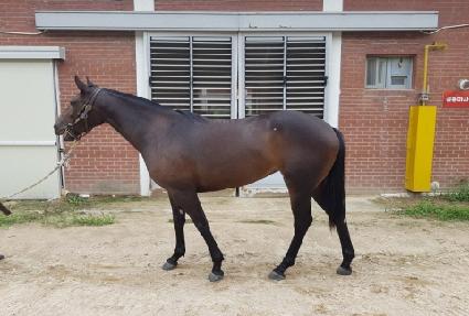 �ܵ��� ����