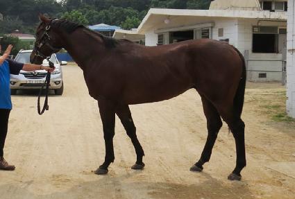 ������� ����