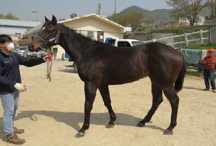 �������� ����