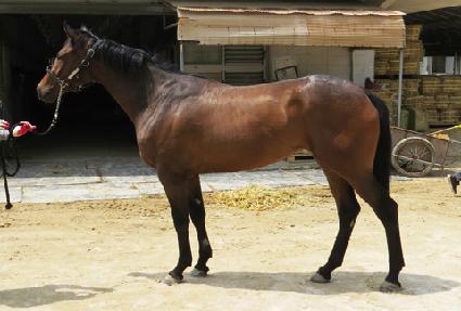 ���ۺ��� ����