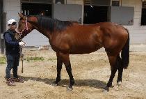 ��õ�Ǻ� (GWACHEONUI BYEOL) ����