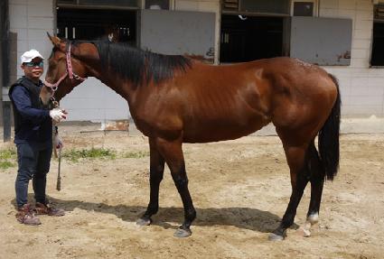 ��õ�Ǻ� ����