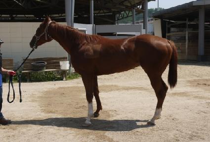 Ǯ������ ����