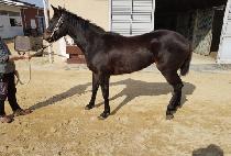 ��������� (HEUIMANG YEOJEONSA) ����