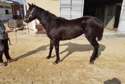 ��������� ����