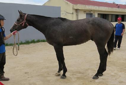 �ؿ� ����