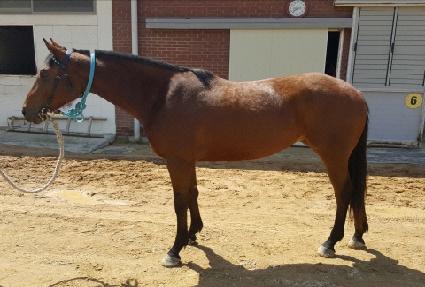 �ϵ�ĳ�� ����