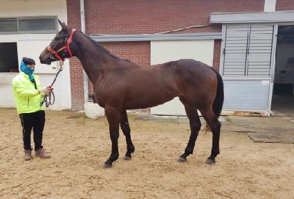 �����ε� ����