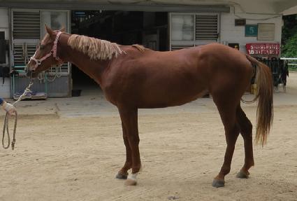 �ݻ�õ�� ����