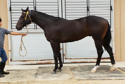 �׷��念�� ����