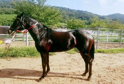 �׷���ĸƾ ����