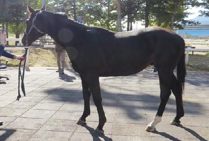 ��Ű���̴��� ����