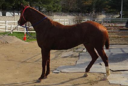 �ƶ� ����