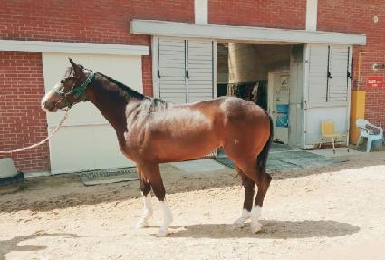 ���и����� ����