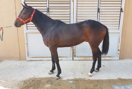 �����콺 ����