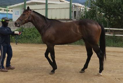 ŷ��ĳ���� ����