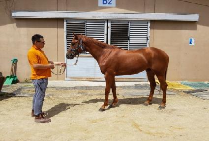 ����Ǯ�̽� ����