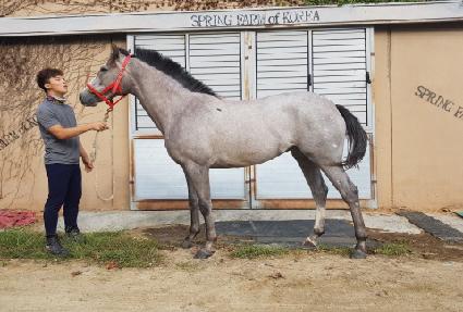 �ϴ��Ϸ� ����