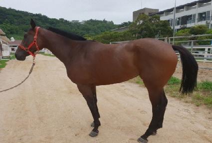 �ʵ����� ����