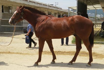 ������˵� ����