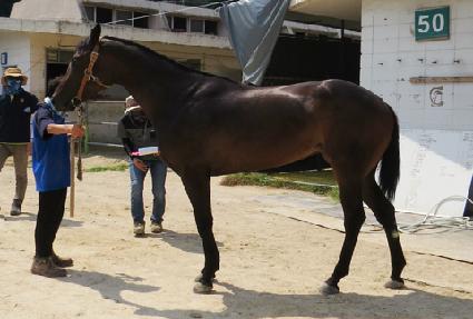 ��ȣ������Ĺ ����