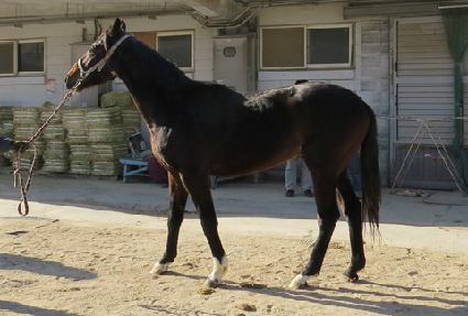 ��Ӵ� ����