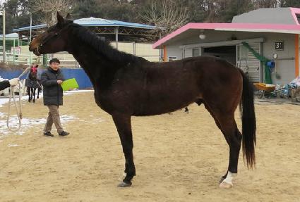 ȭ��Ʈ���� ����