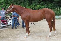 �̶�Ŭȣ�� (MIRACLE HOPE) ����