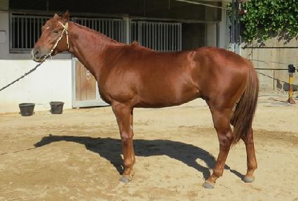 Ÿ�ֱ̹� ����