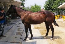 ����Ǯ��� (WONDERFUL BRAVO) ����