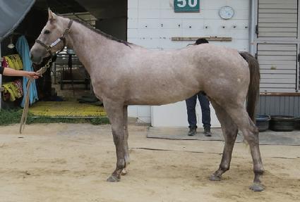 ����Ʈ��Ÿ ����