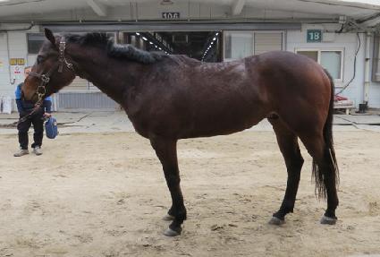 ��ǽ� ����