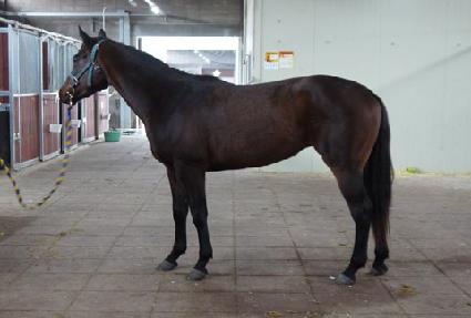 �ζ� ����