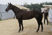 �ݺ����� (GEUMBIT YEOLJEONG) ����