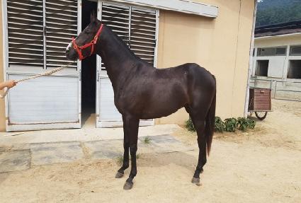 ������� ����