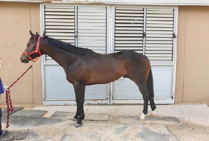 ��¯ ����