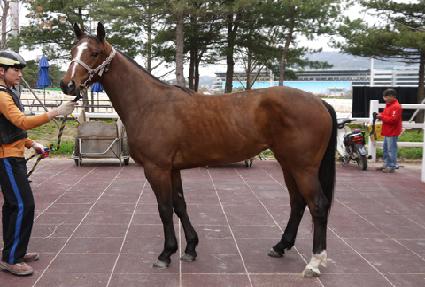 ����è�� ����