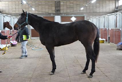 â�� ����