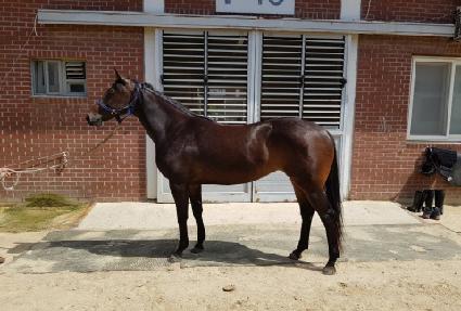 �ޱ� ����