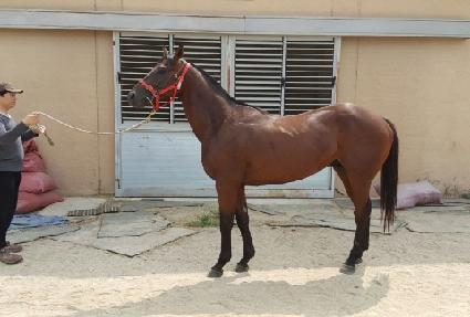 ������ ����