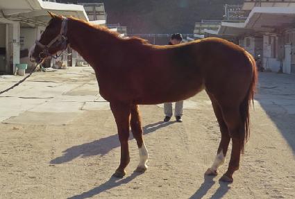 ���Ȧ�� ����