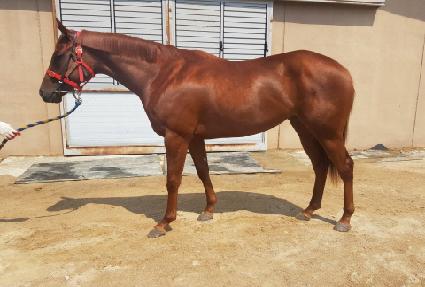 ��Ű�ѹ��� ����