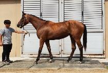 �ݳ��� (GUMNAKJO) ����