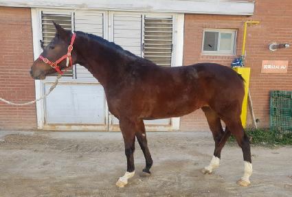 ���̽����� ����