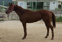 ��ε帲 (MODU DREAM) ����