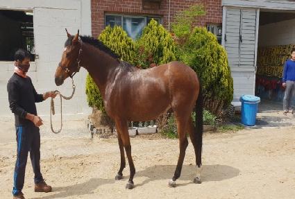 ���̿� ����